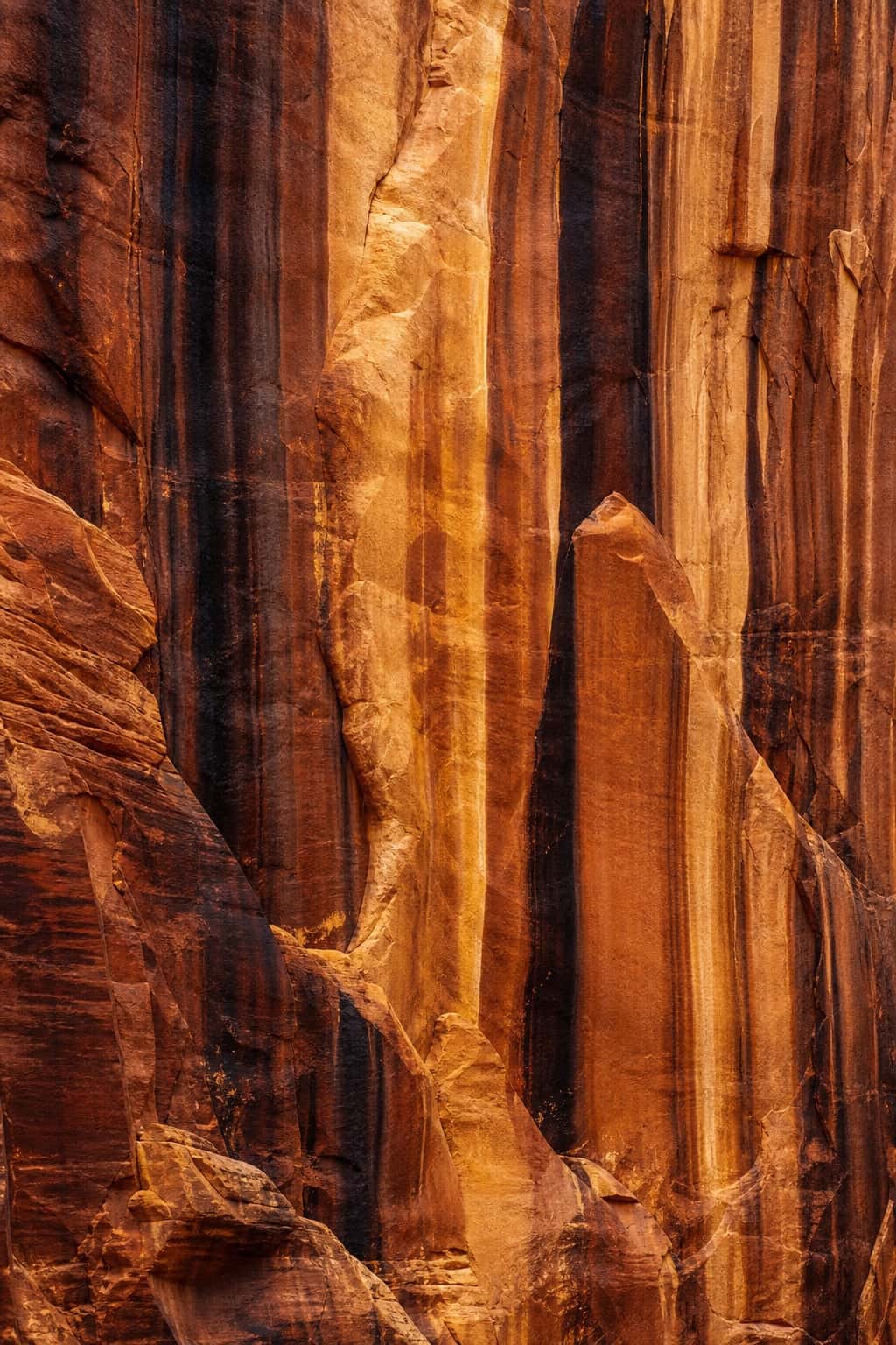 Thumbnail for Desert Varnish