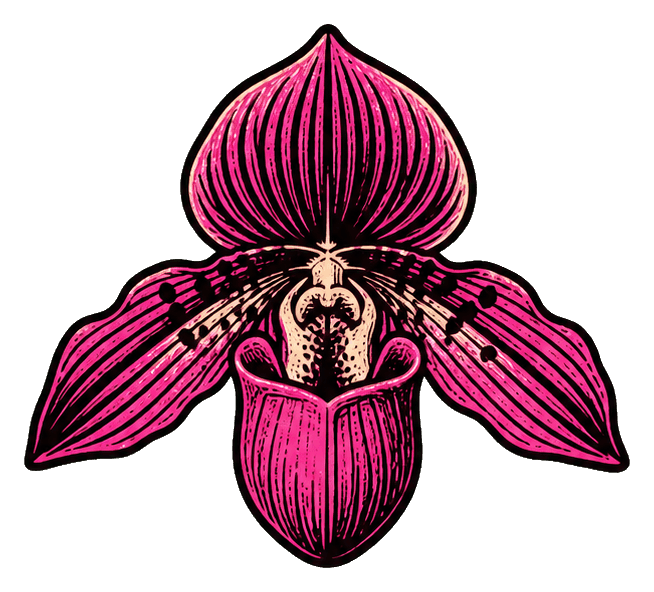 Thumbnail for Orchid Sticker