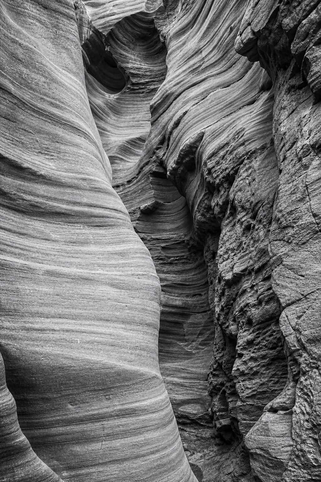 Thumbnail for Black And White Photography