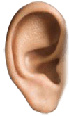 Thumbnail for Ears