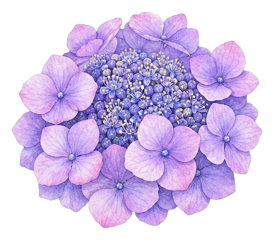 Thumbnail for Hydrangea Sticker