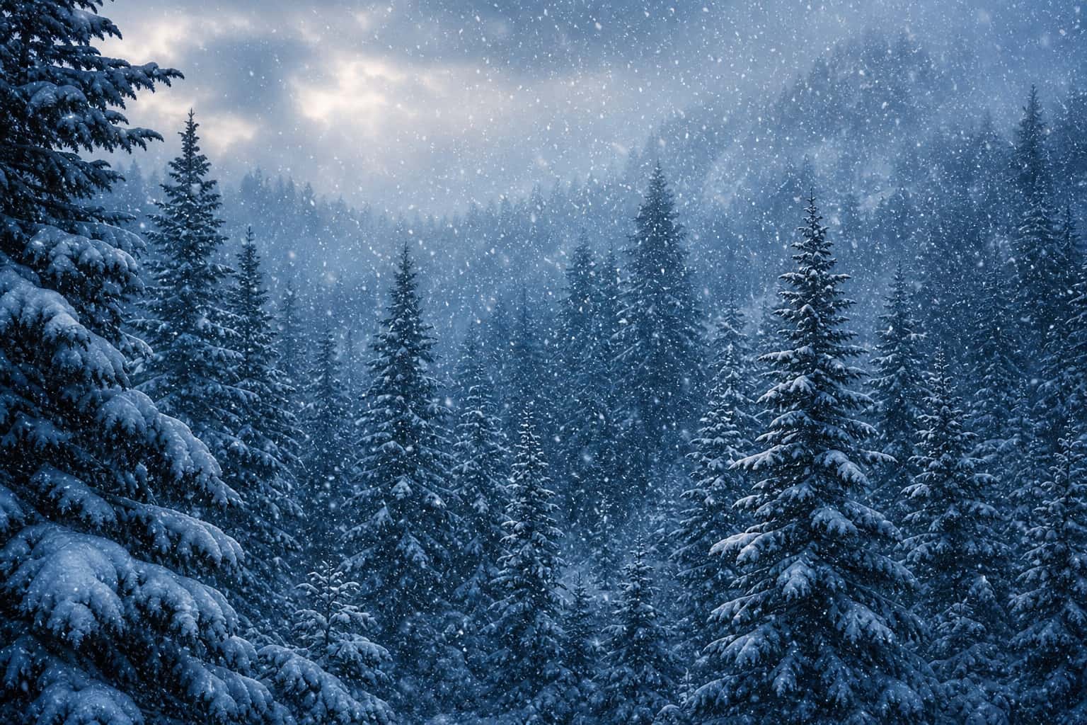 Thumbnail for Winter Pine Atmosphere