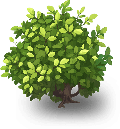 Thumbnail for Bush