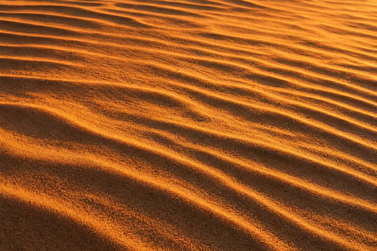 Thumbnail for Wind Carved Sand Texture