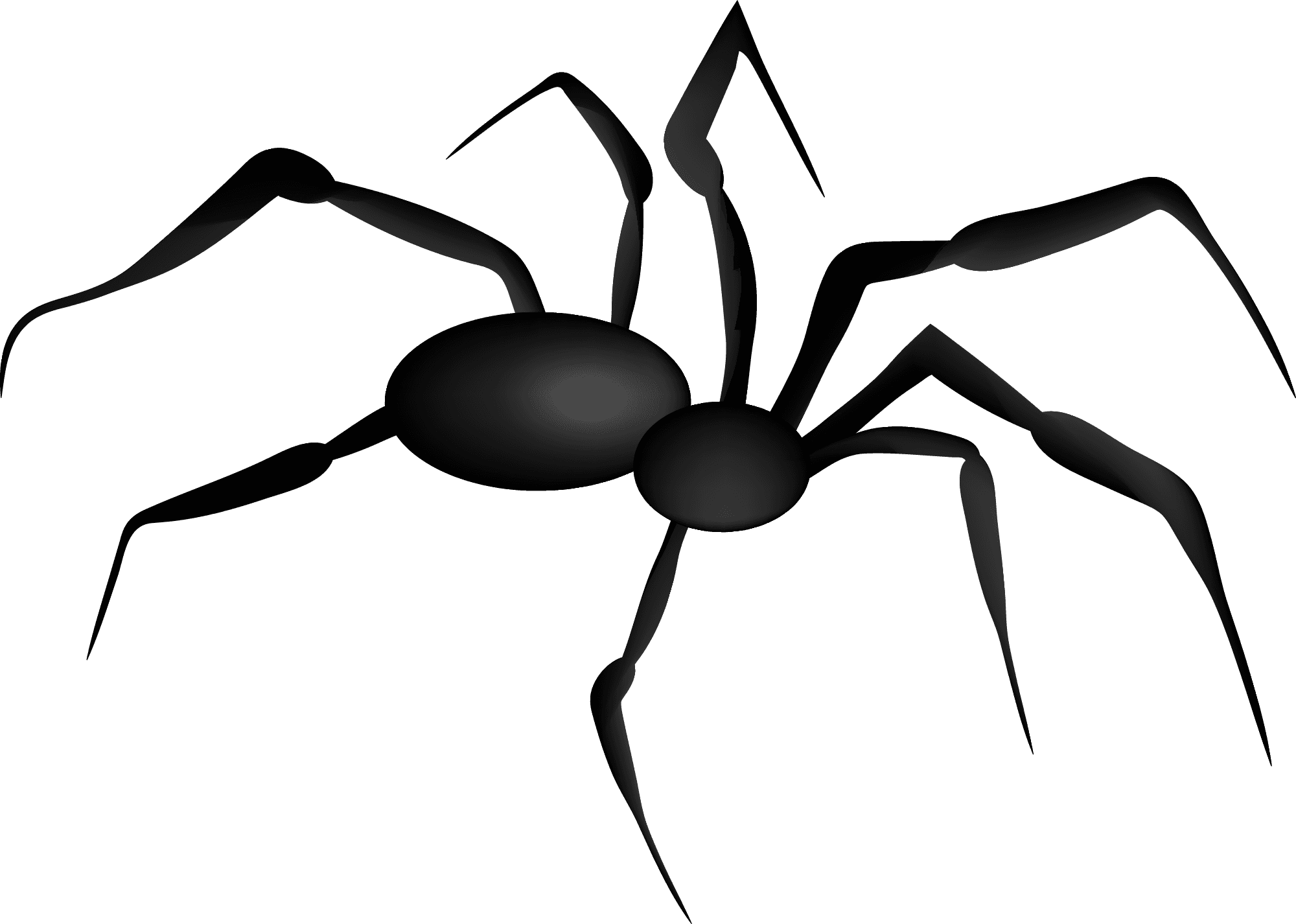 Thumbnail for Spiders