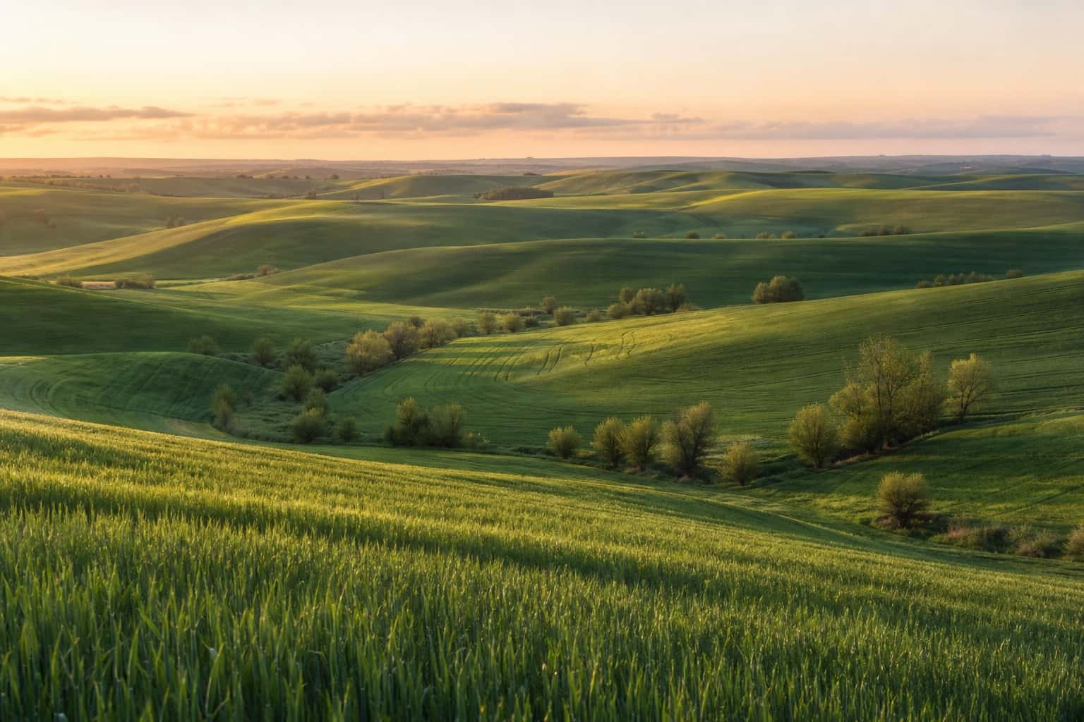 Thumbnail for Rolling Farmland Landscape