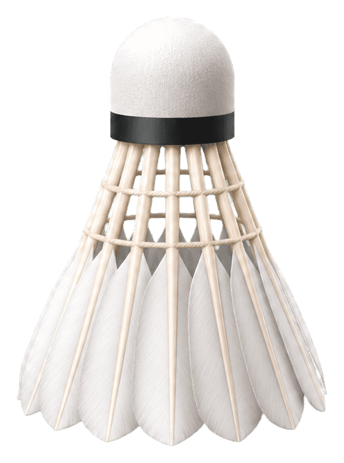 Thumbnail for Badminton Sticker