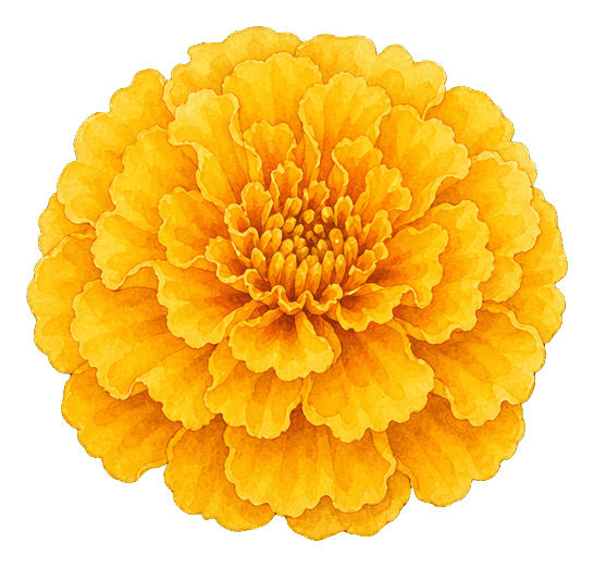 Thumbnail for Marigold Sticker