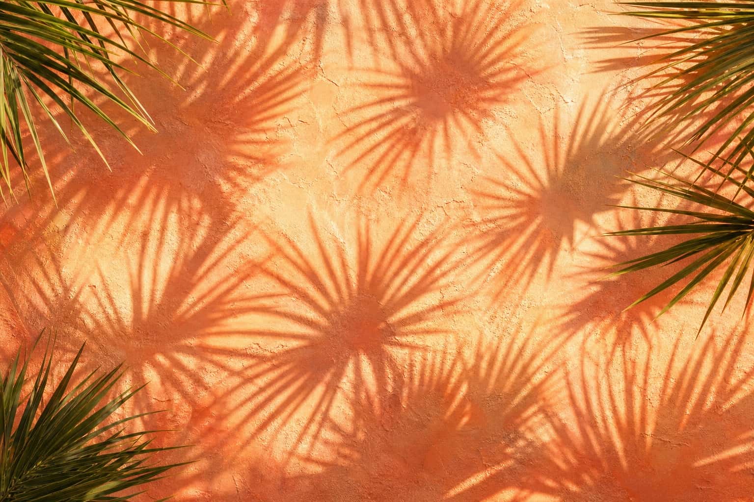 Thumbnail for Tropical Palm Shadow Background