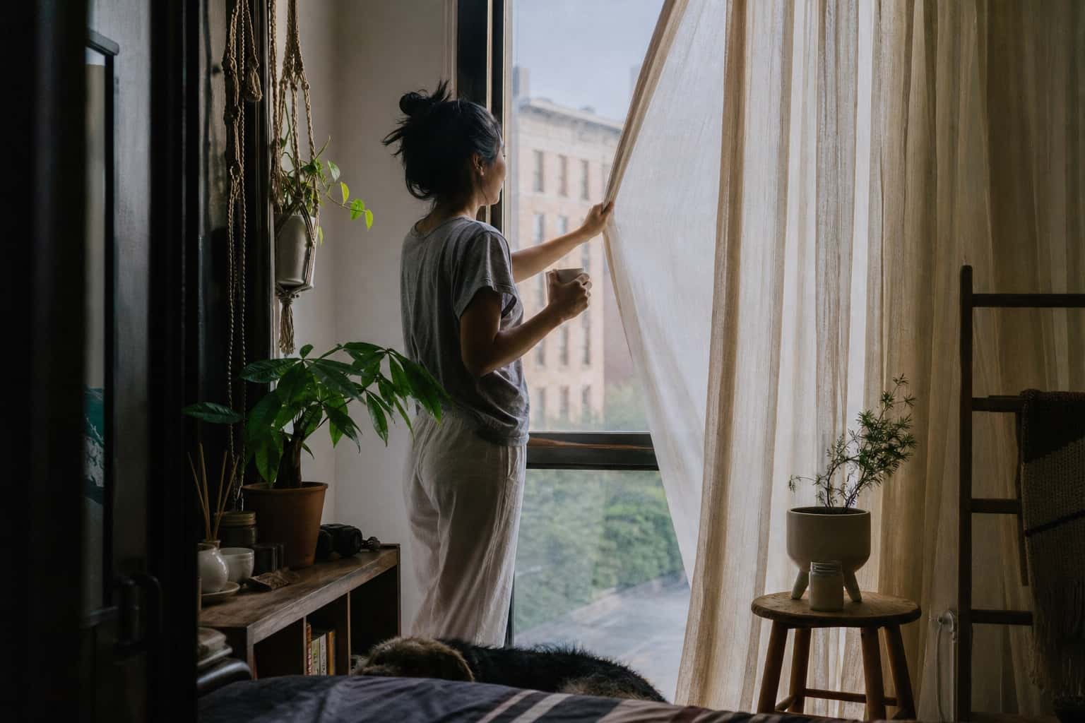 Thumbnail for Apartment Window Moments
