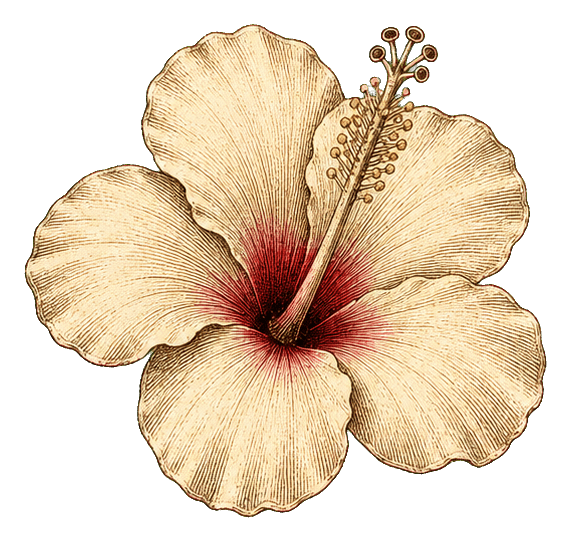Thumbnail for Hibiscus Sticker
