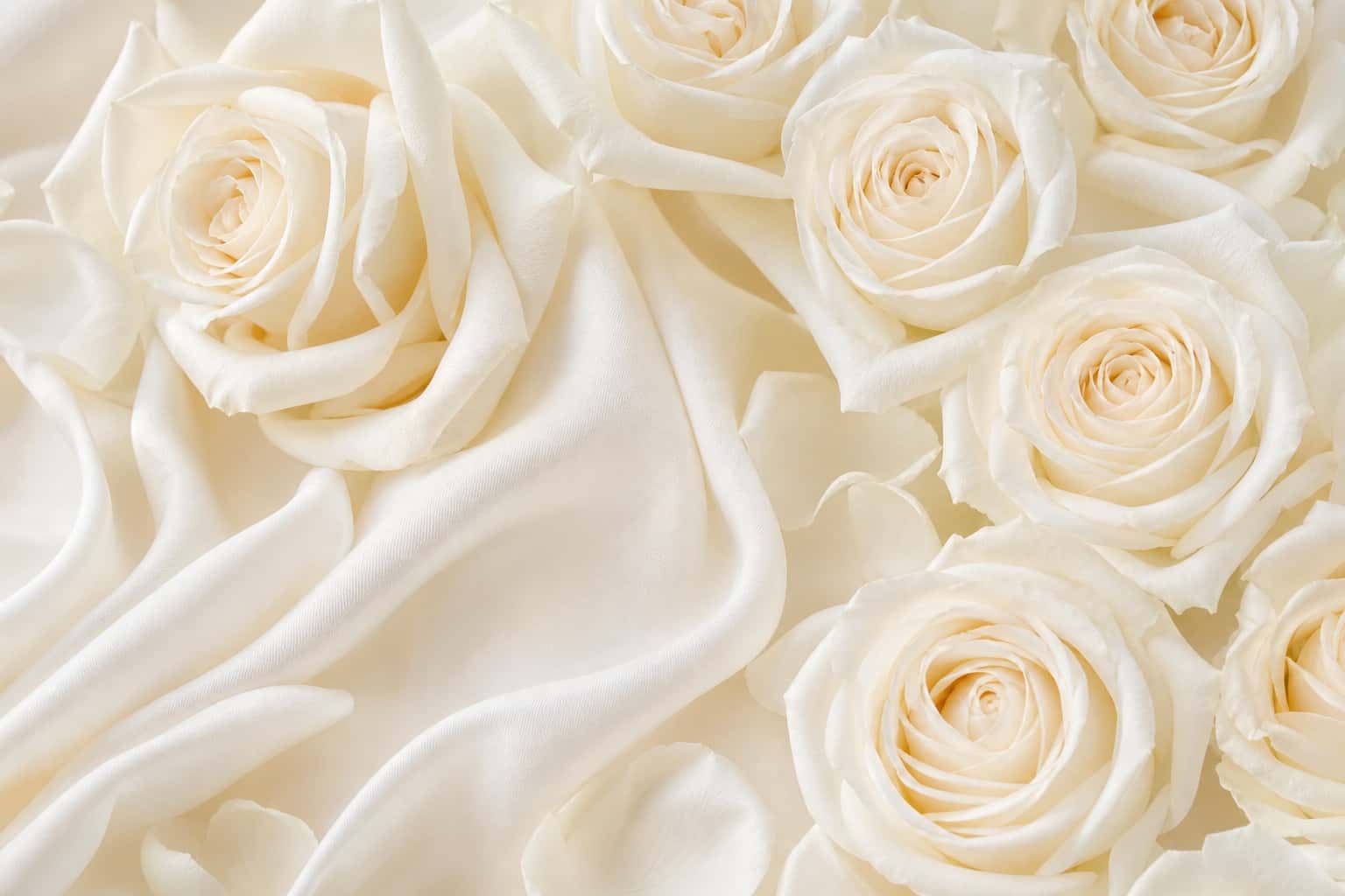 Thumbnail for Wedding Floral Background