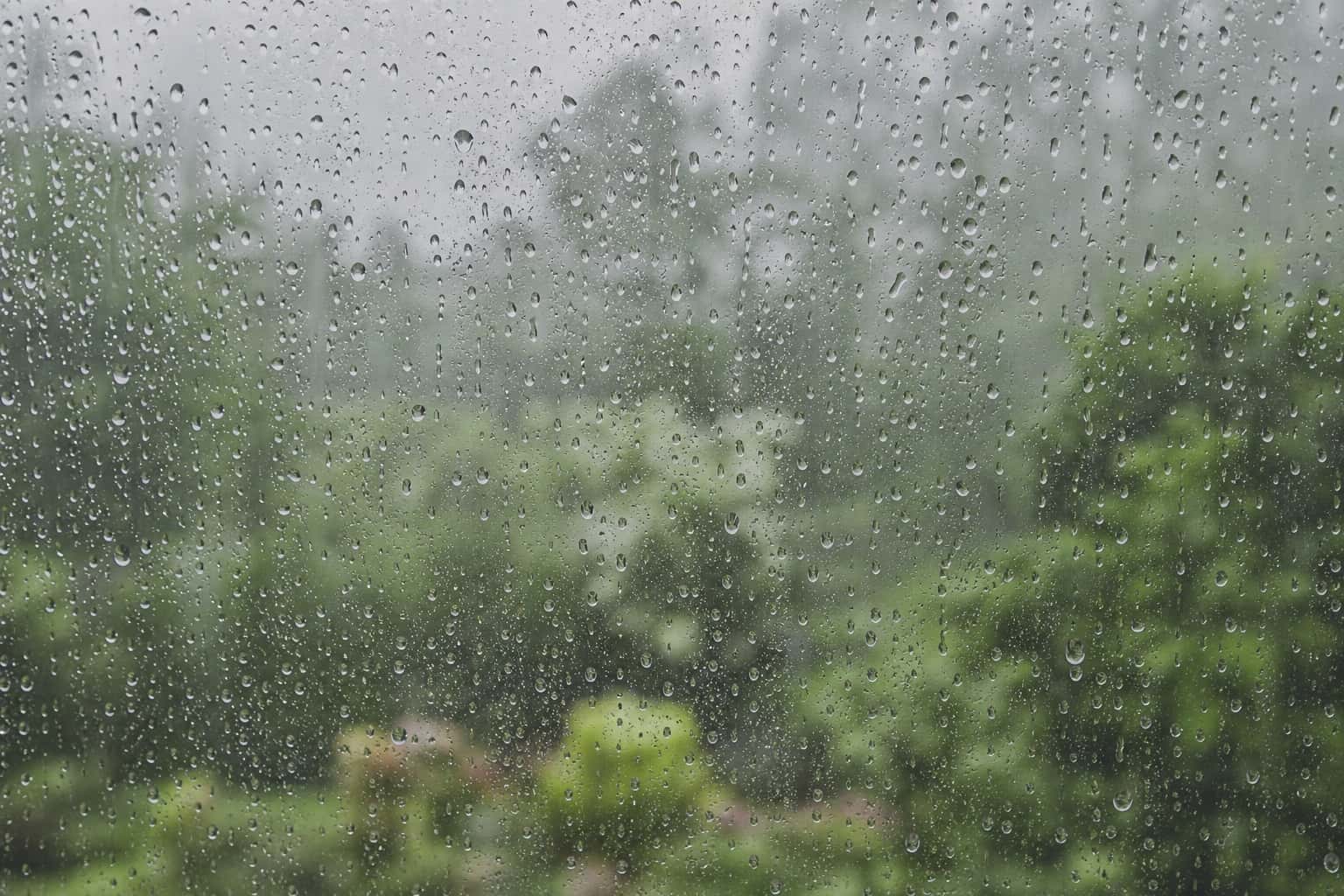 Thumbnail for Rain Window Background