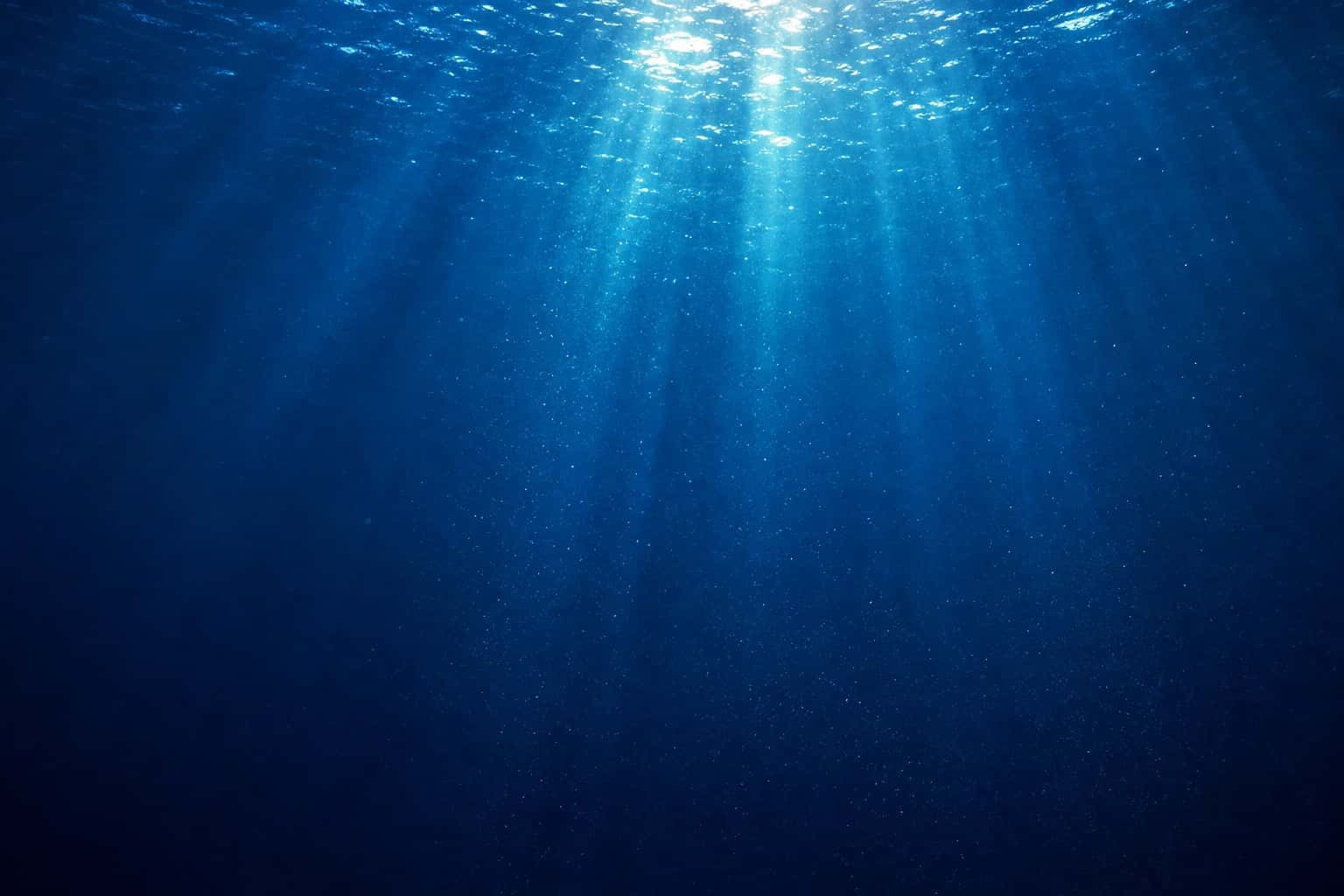 Thumbnail for Deep Sea Light Rays