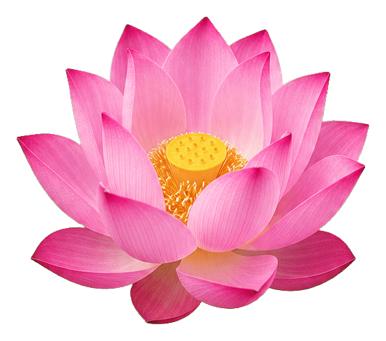 Thumbnail for Lotus Sticker
