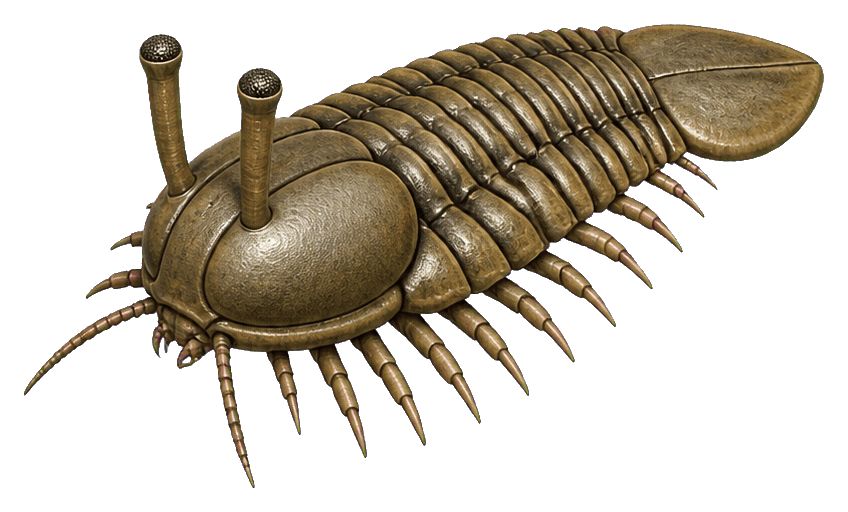Thumbnail for Prehistoric Bug Sticker