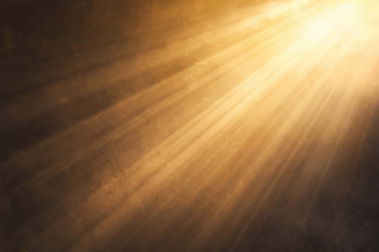 Thumbnail for Soft Studio Light Rays