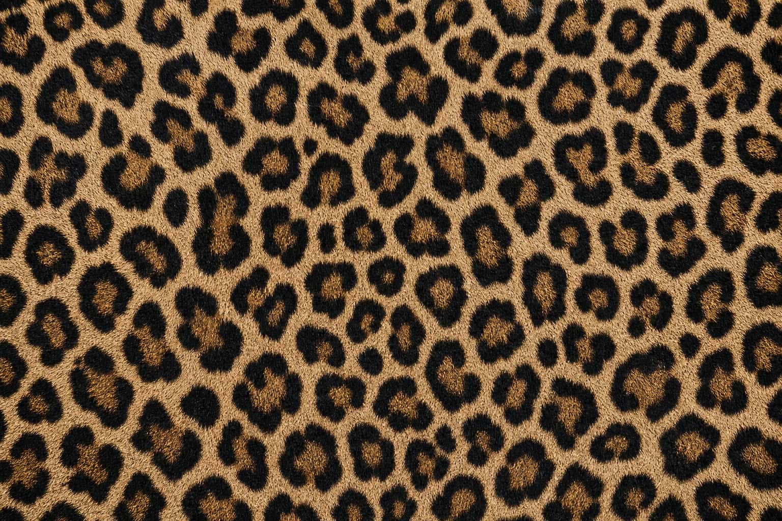 Thumbnail for Animal Print Texture