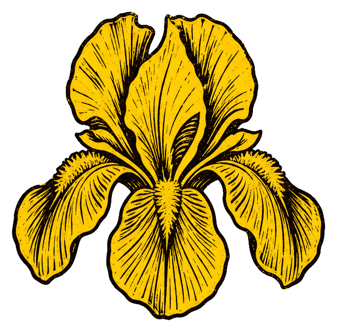 Thumbnail for Iris Sticker