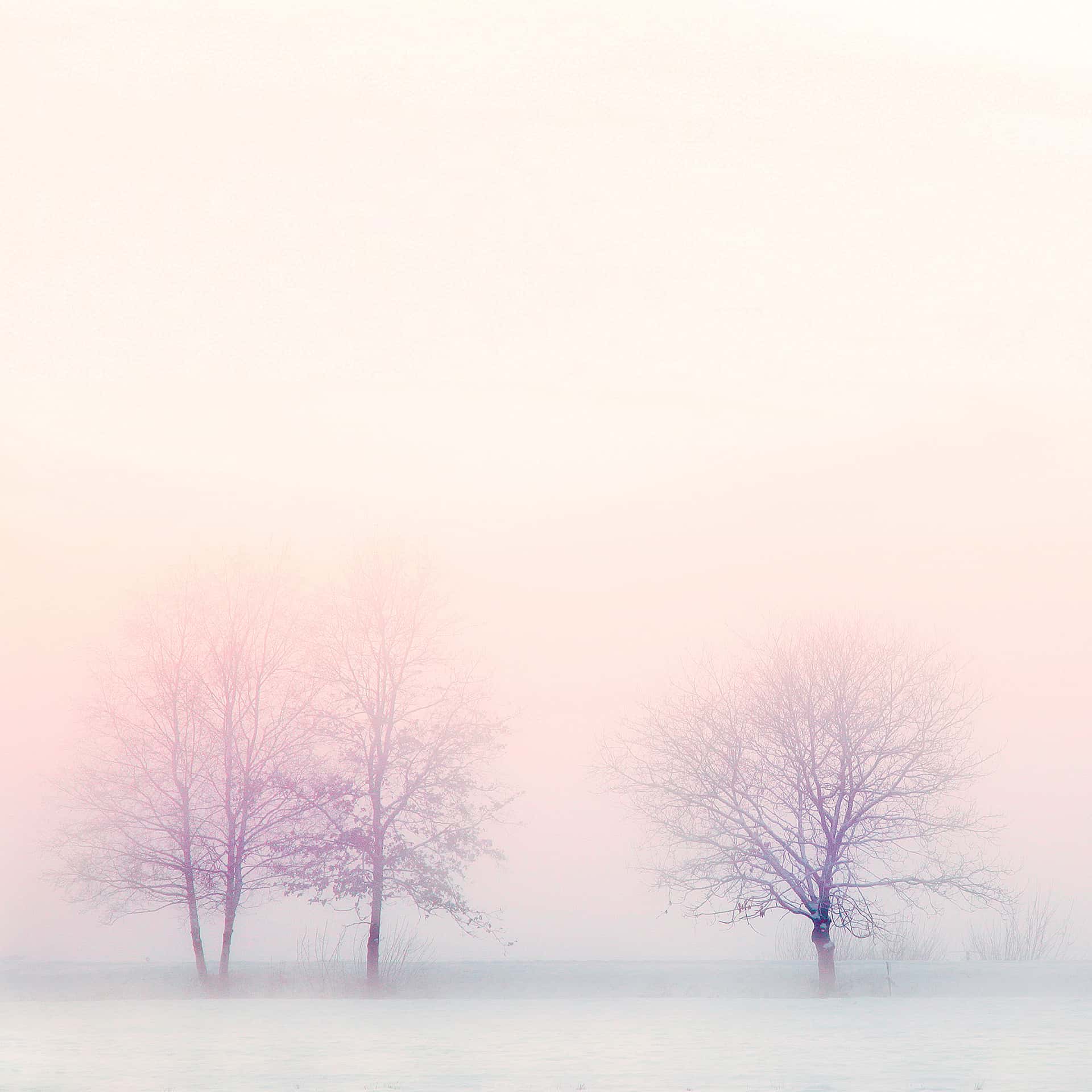 Thumbnail for Fog