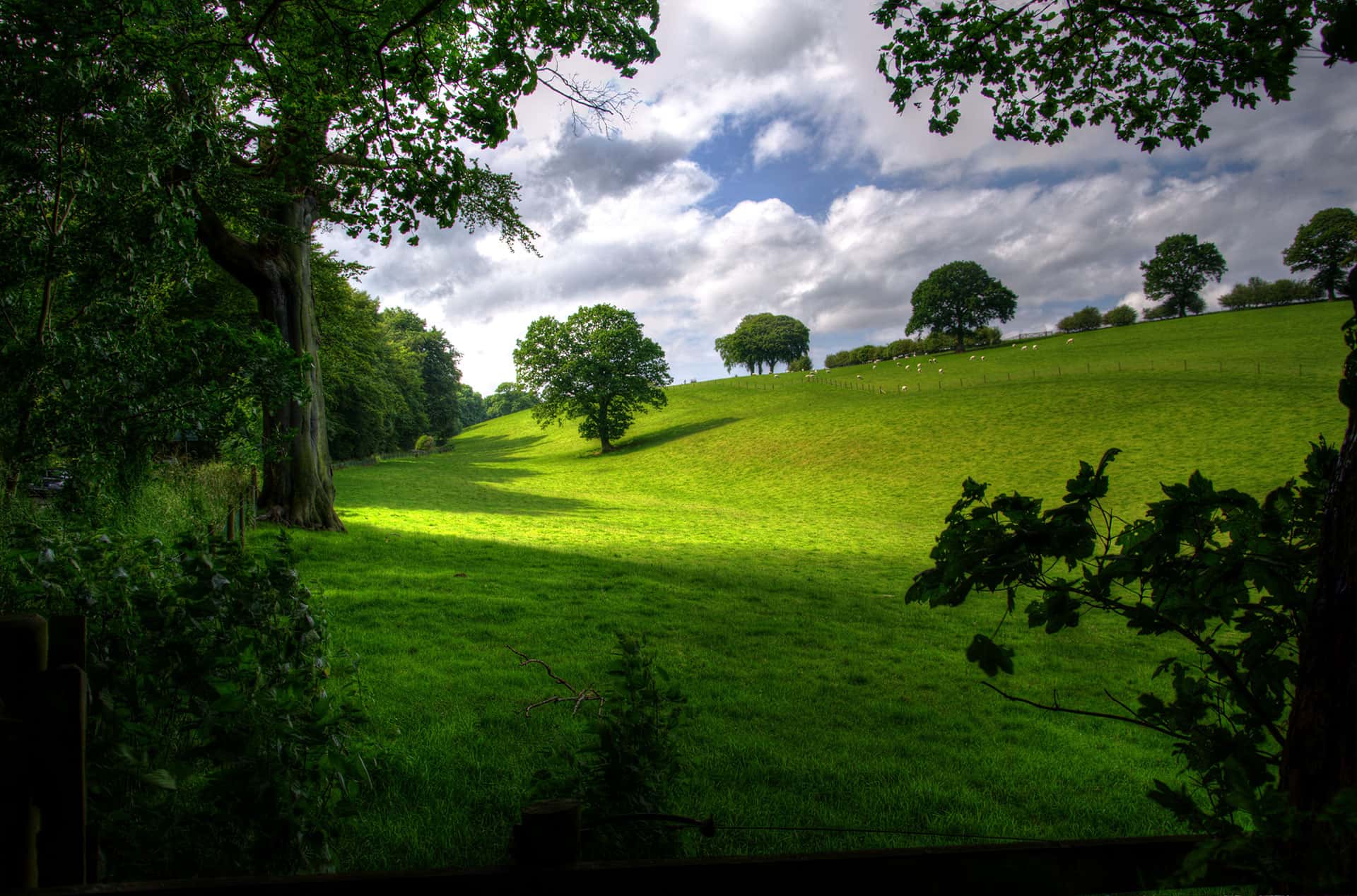 Thumbnail for Countryside