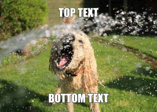 Thumbnail for Summer Meme