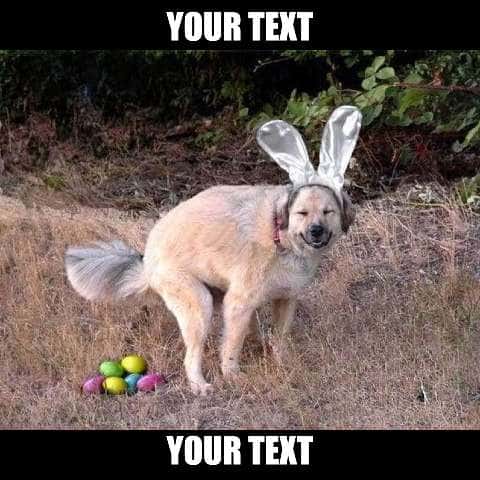 Thumbnail for Easter Memes