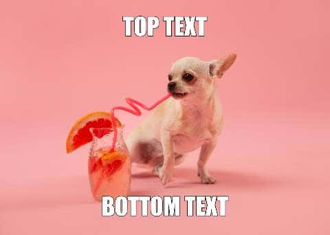 Thumbnail for Summer Memes