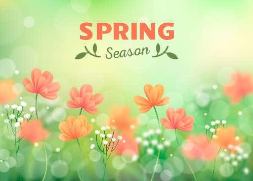 Thumbnail for Spring Designs