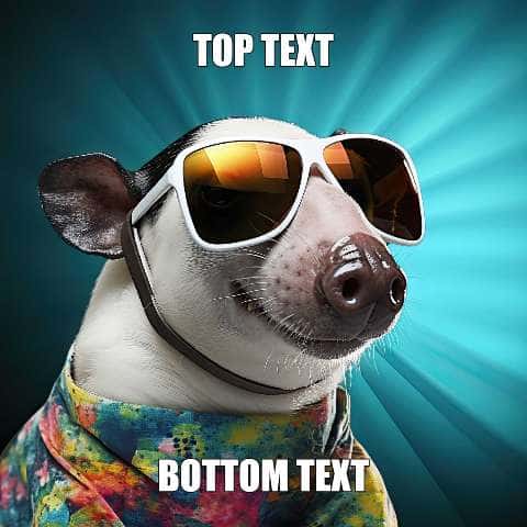 Thumbnail for Dog Memes