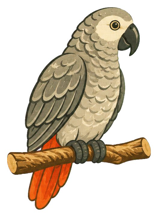 An African grey parrot perched on a branch with orange tail feathers.