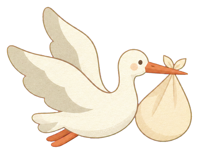 White stork flying with a bundle tied to its beak