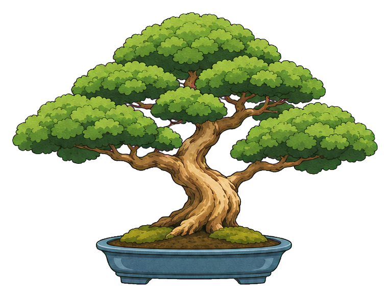Chinese elm bonsai tree in a shallow blue pot.