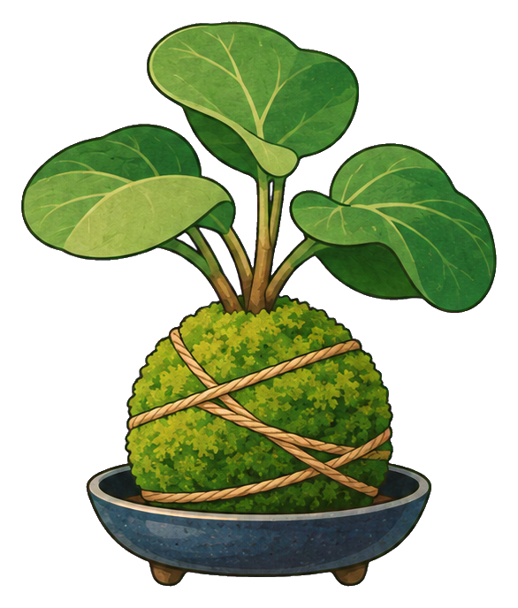 Bonsai plant with round moss ball base in a shallow bowl planter