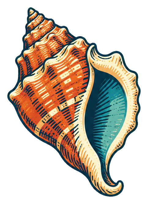 Orange and teal linocut-style conch shell with carved line details