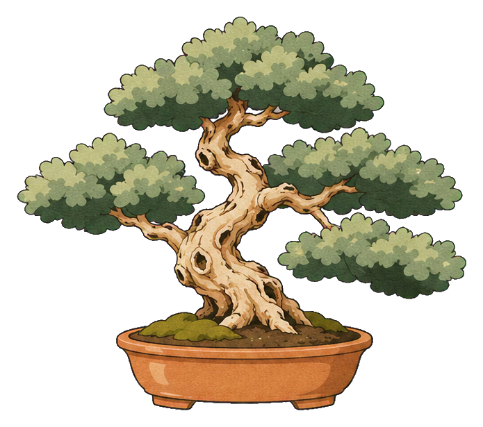 Minimal olive bonsai tree growing in a shallow pot.