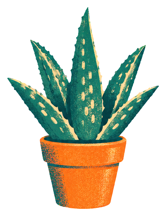 Risograph-style aloe plant in an orange pot on a transparent background