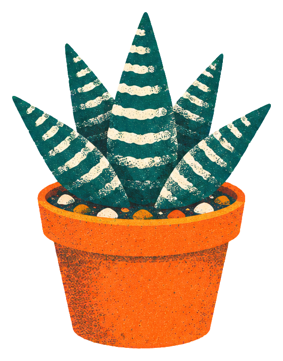 Risograph-style haworthia succulent in an orange terracotta pot