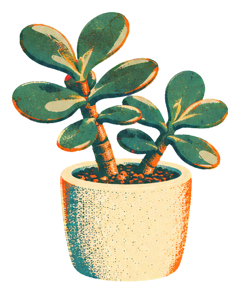 Risograph-style jade plant in a small speckled pot.