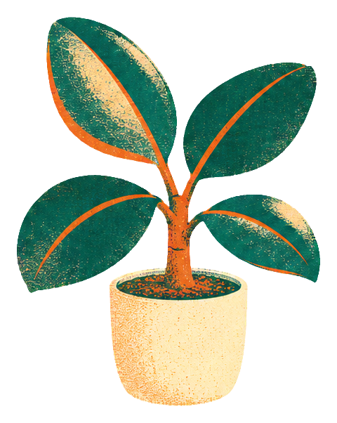 Illustrated rubber plant in a cream pot with risograph texture and orange accents.