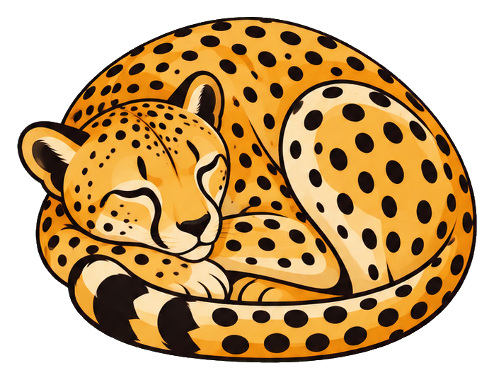 Sleeping cheetah curled up with spotted coat and closed eyes, transparent background
