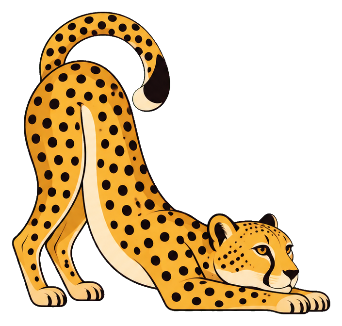 Stretching cheetah with spotted coat and tail arched over its back, transparent background.