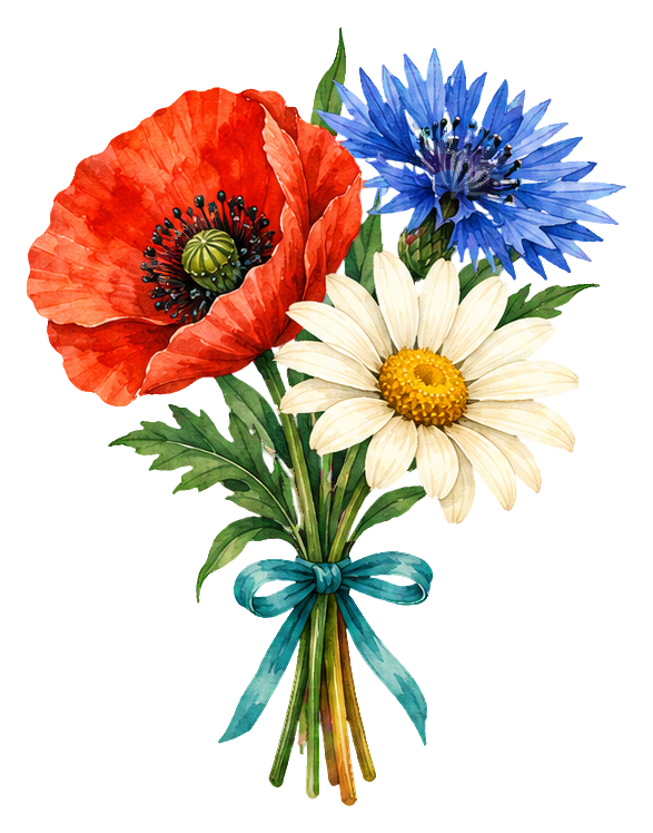 Watercolor flower posy with red poppy, blue cornflower, and white daisy tied with a blue ribbon.