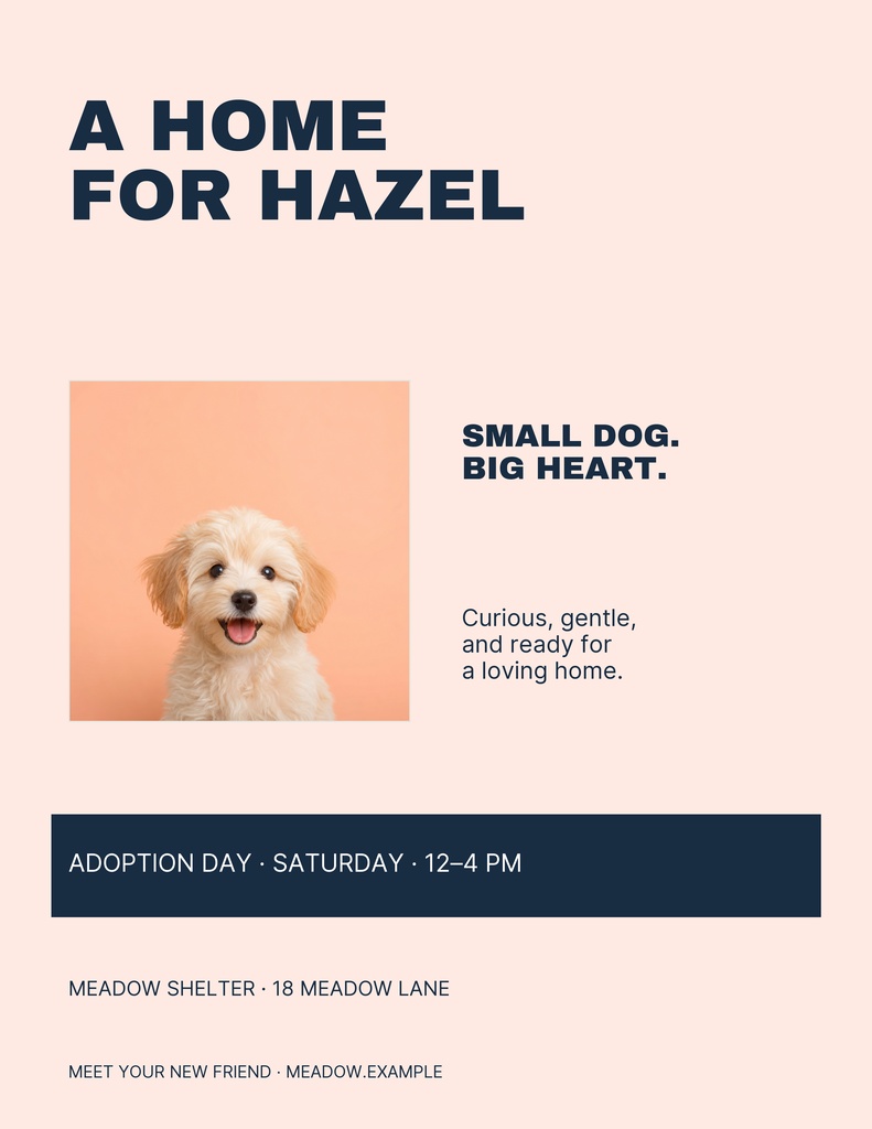 Minimal letter flyer with the headline A Home for Hazel, a small dog photo, and adoption event details.