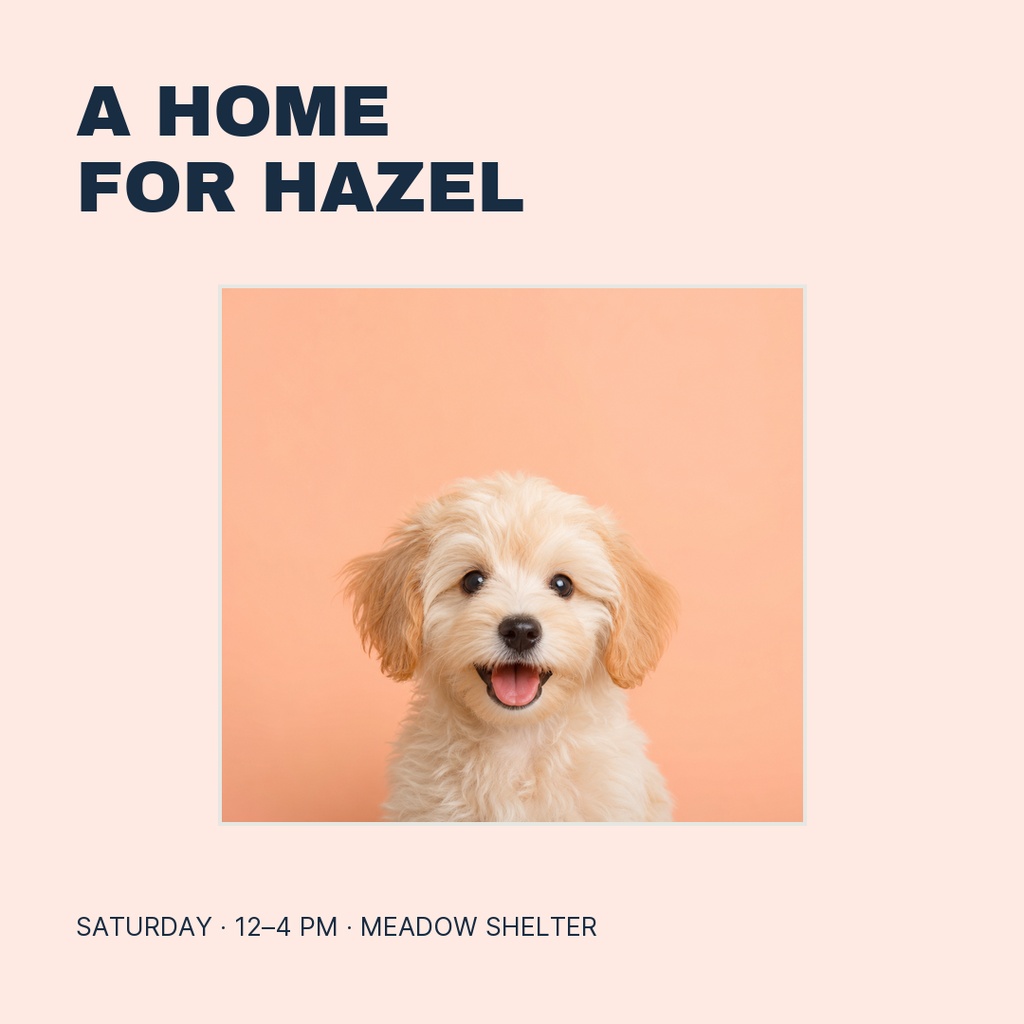 Square post with the title A Home for Hazel and a puppy portrait on a peach background.