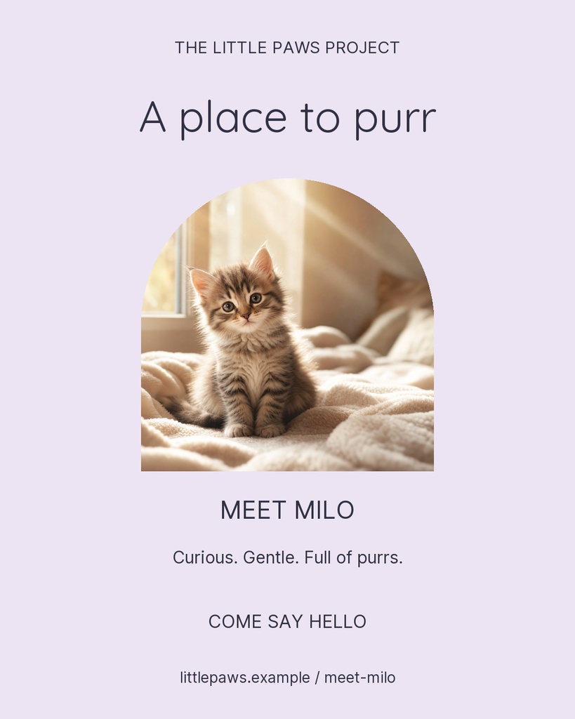 Portrait adoption post with a kitten photo and the text A place to purr.