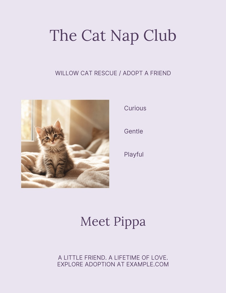 Portrait flyer with a kitten photo, cat adoption text, and soft lavender background
