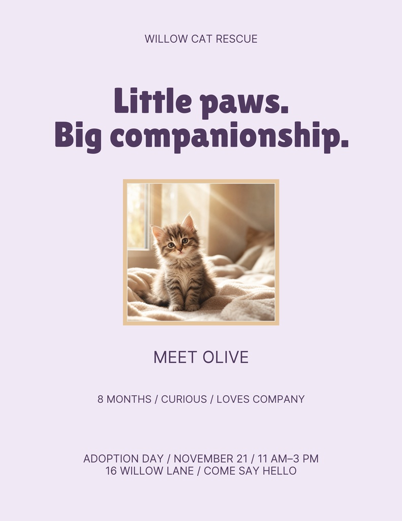 Portrait flyer with a kitten photo and the headline Little paws. Big companionship.