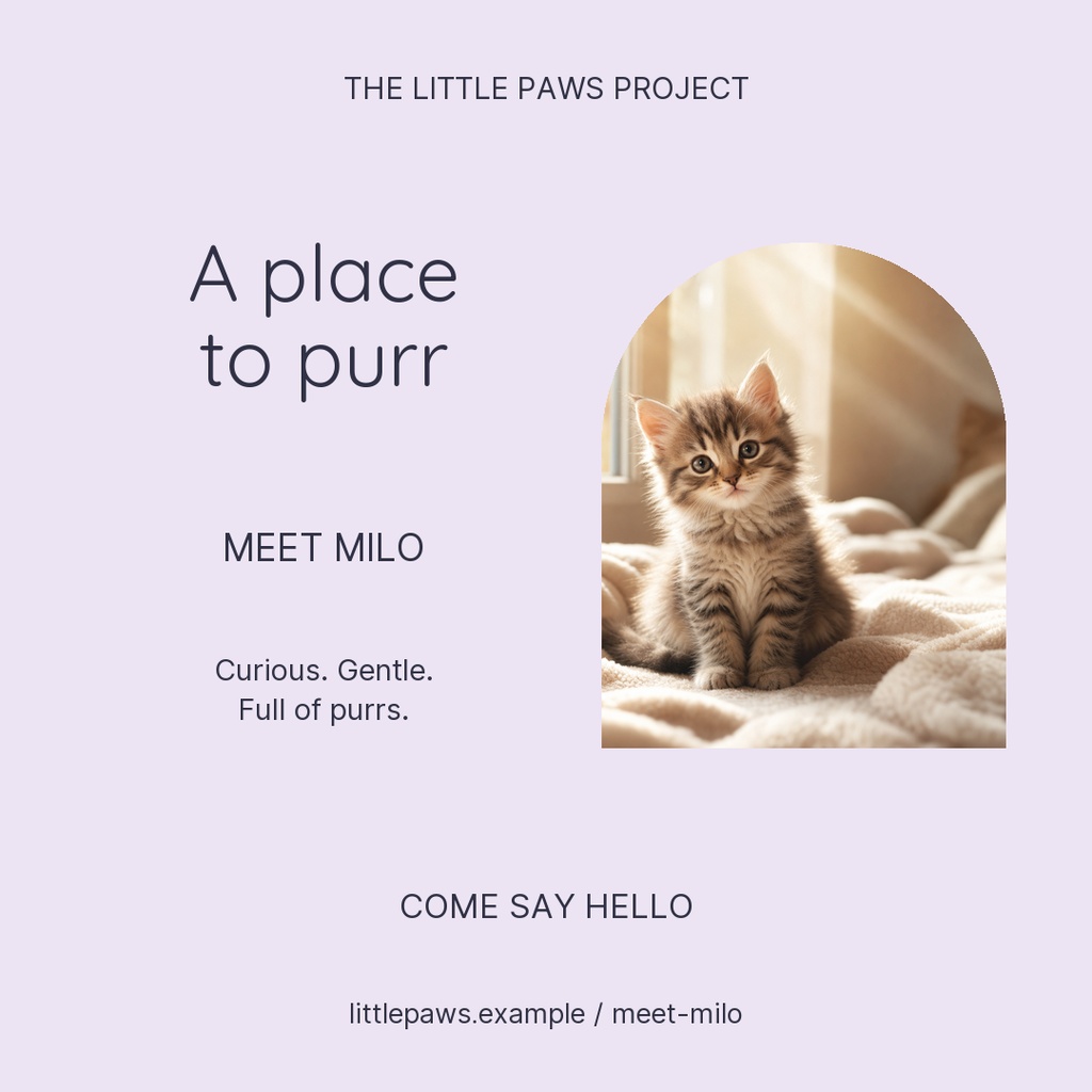 Square post with a kitten photo and text reading A place to purr, Meet Milo, and Come say hello.