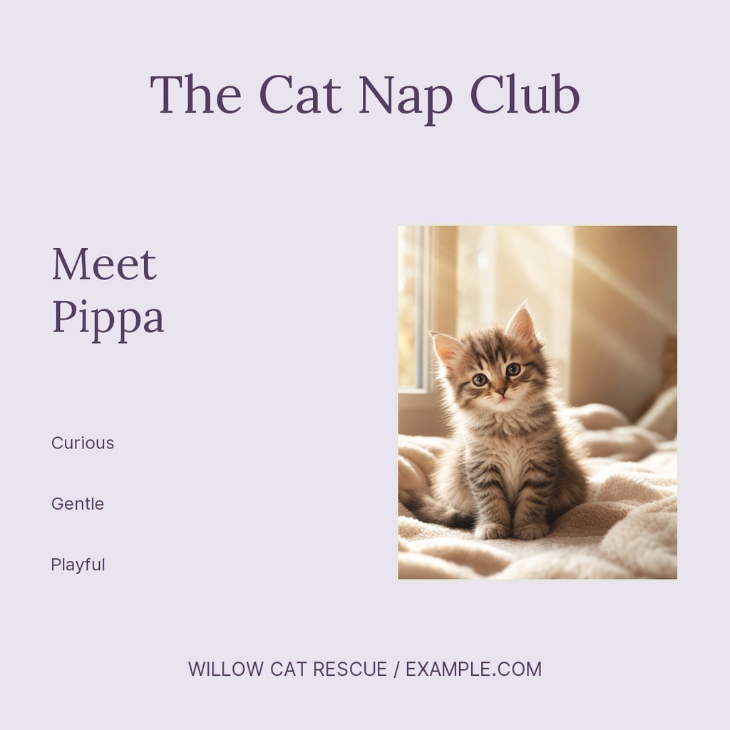 Postcard Example Portrait The Cat Nap Club Square Post Template - Design Templates